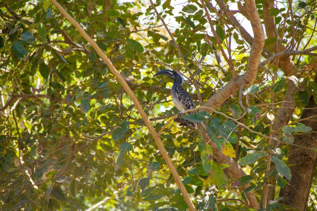 Mama Africa Art Residence & Art Center Gambia Tanji 外观 照片