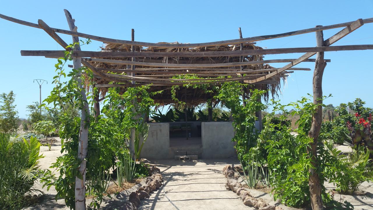 Mama Africa Art Residence & Art Center Gambia Tanji 外观 照片
